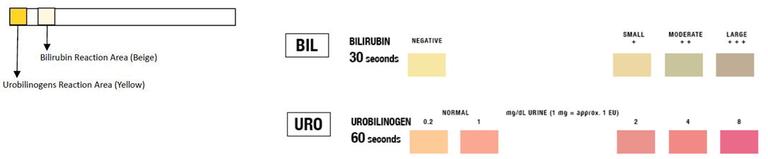 Levertest (2 stuks) - Afbeelding 2